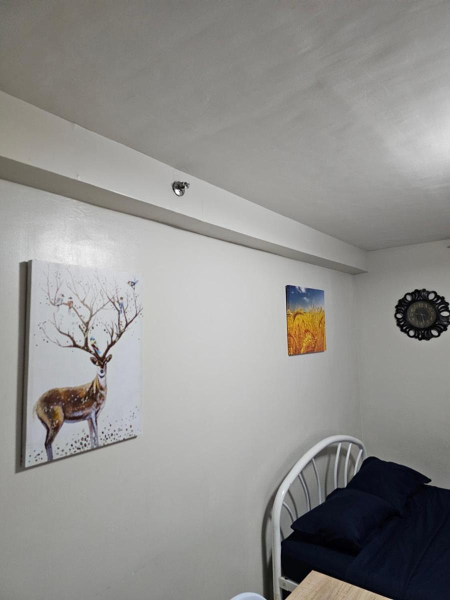 Tranquil Cool Studio Condo Mactan Cebu - Housity