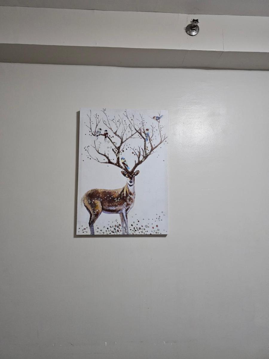 Tranquil Cool Studio Condo Mactan Cebu - Housity