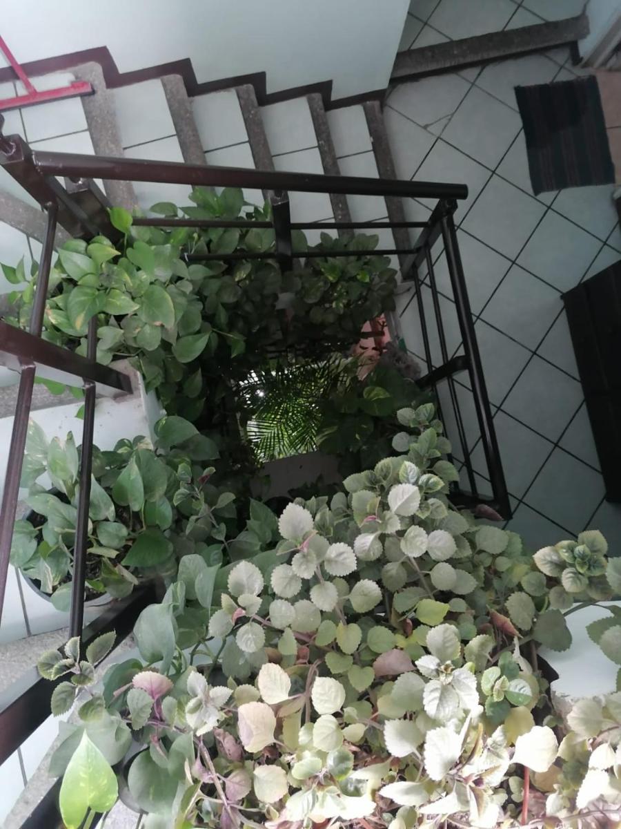 Casa los Arcos Oaxaca - Housity