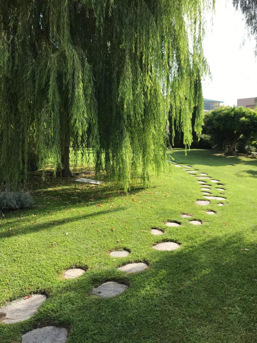 Villa Marlene B&B - Housity
