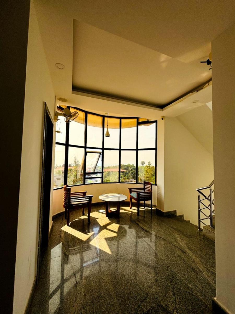 Hermit crab 19 - Housity