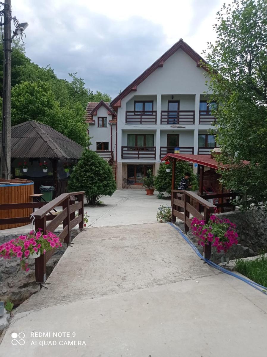 Pensiunea Valea Toplitei - Housity