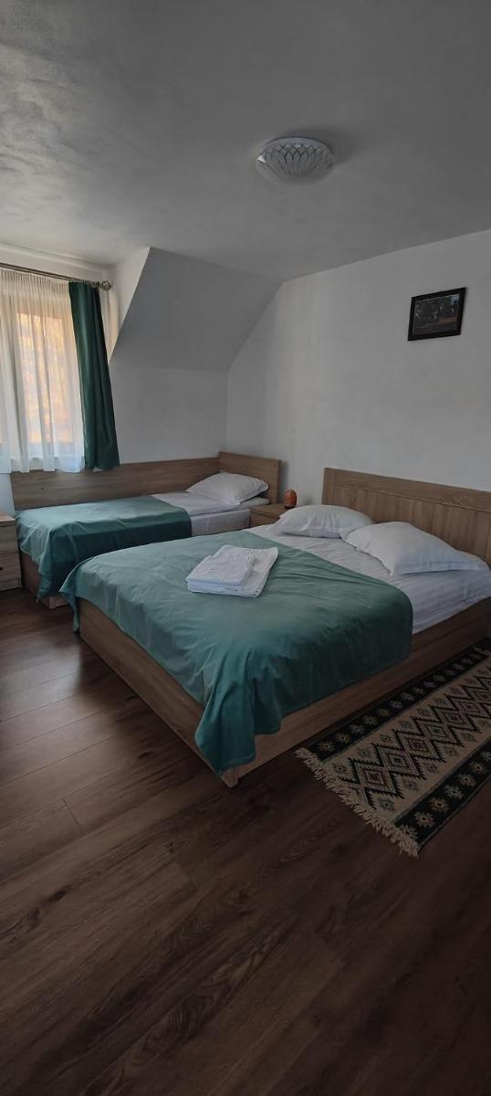 Pensiunea Valea Toplitei - Housity