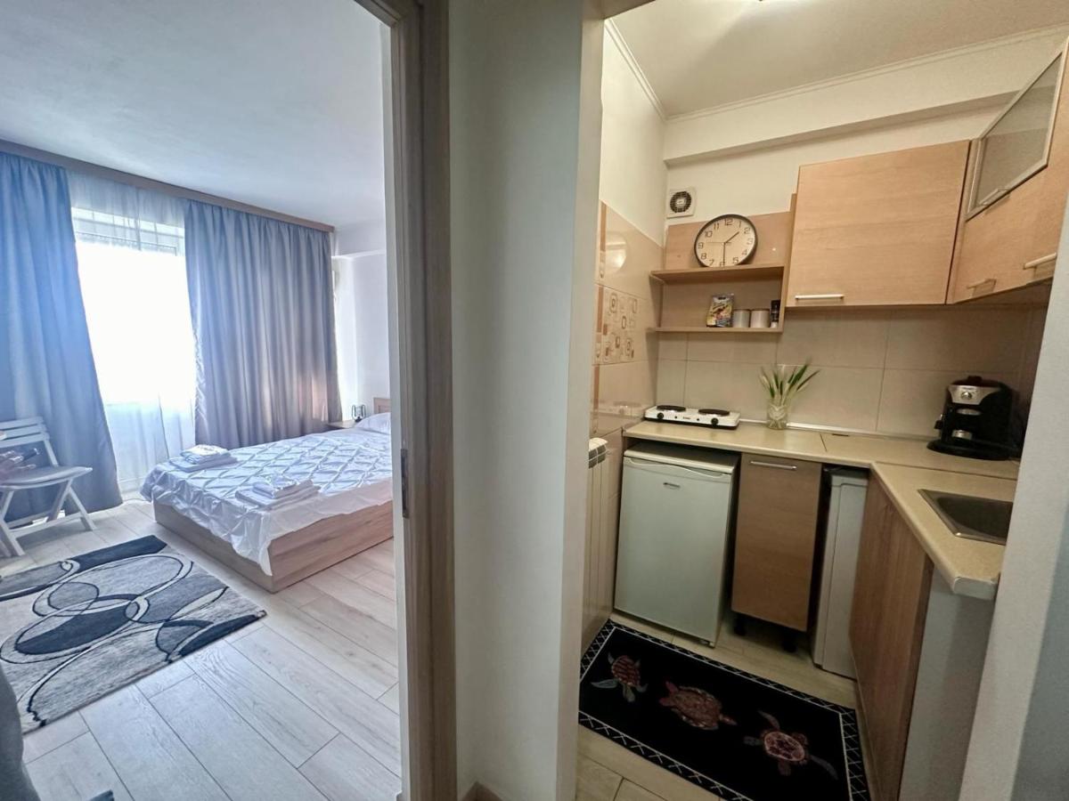 Downtown Studio Calea Victoriei Ultracentral - Housity