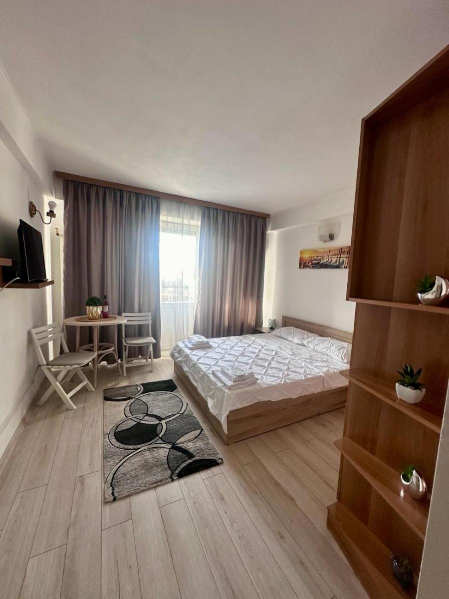 Downtown Studio Calea Victoriei Ultracentral - Housity