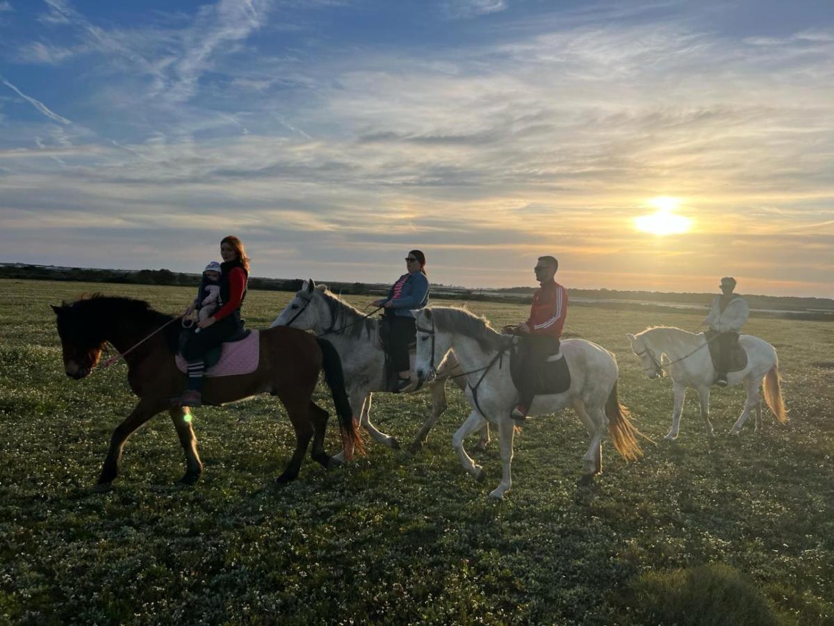 Centro ecuestre Girasol - Housity