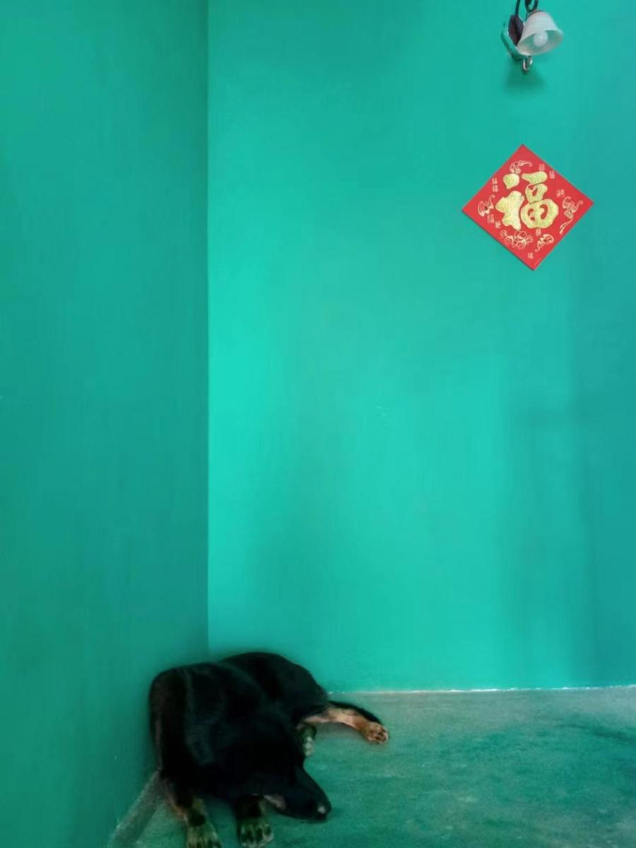 Yuanyang Flower and Horse Inn - Housity