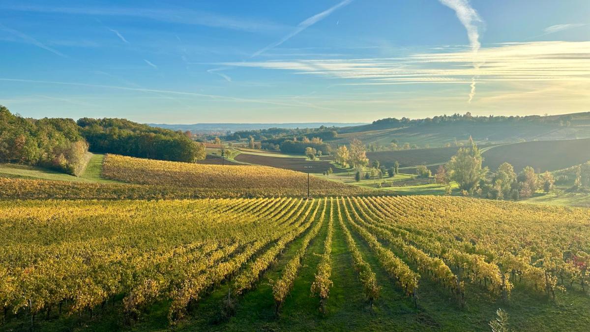 Paysage naturel près de l'hôtel