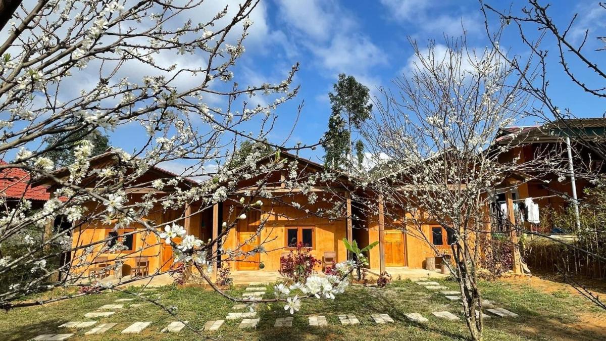 Lý Tà Quân Homestay - Housity