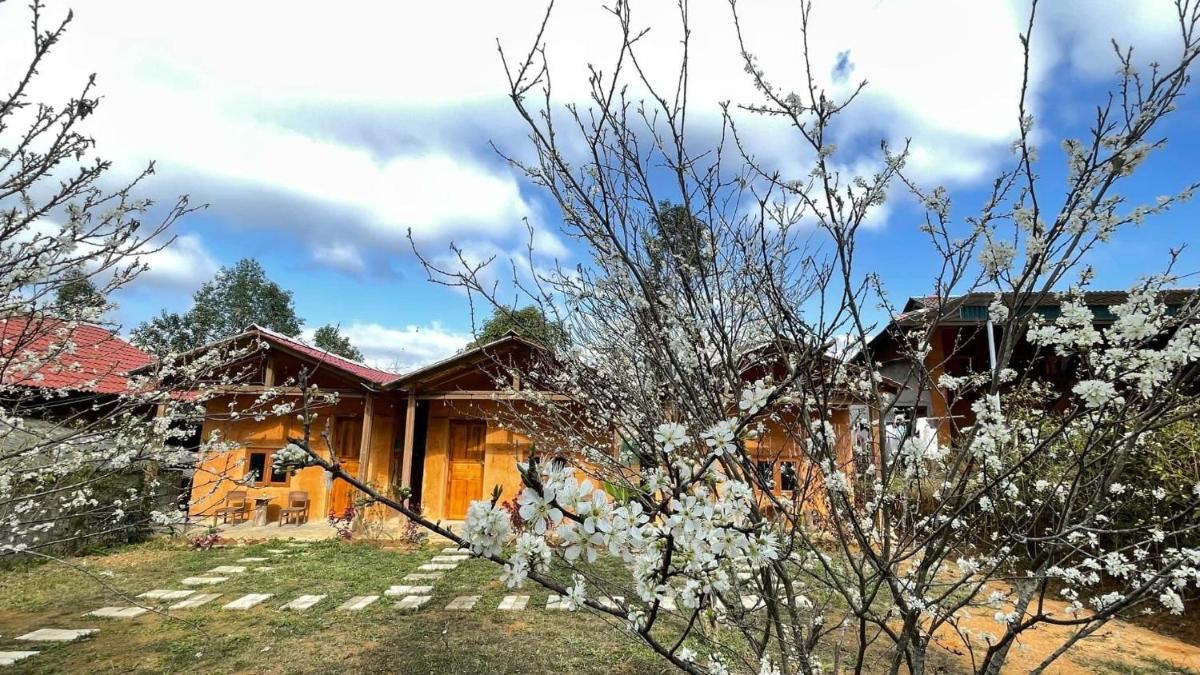 Lý Tà Quân Homestay - Housity