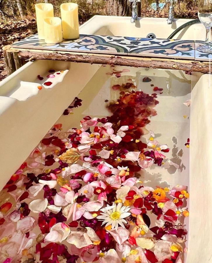 Nirvana Hotel and Spa in Laklouk Quadruple Room - Housity