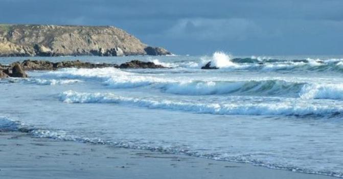 Cadgwith Cove Inn - Housity