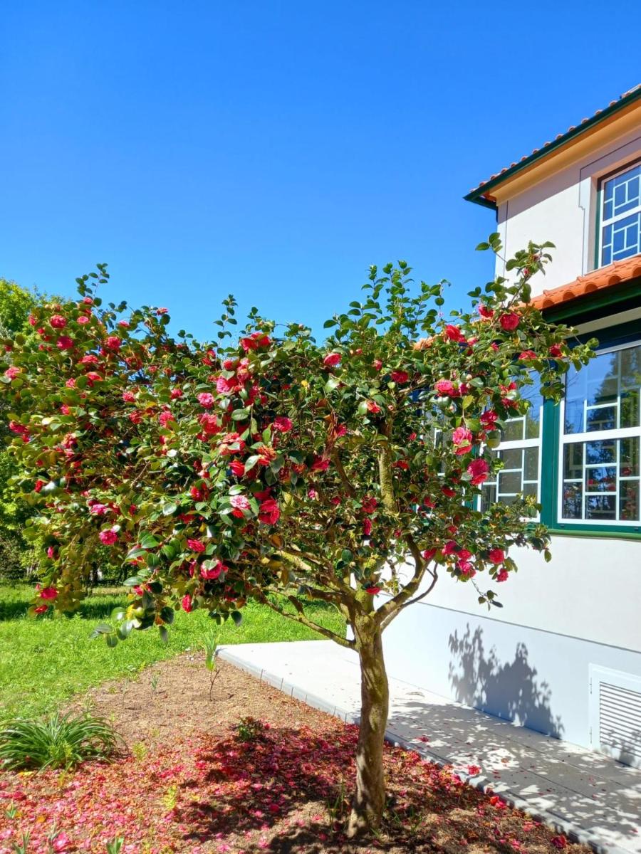 Quinta Catrinandes - Retreat Center - Housity