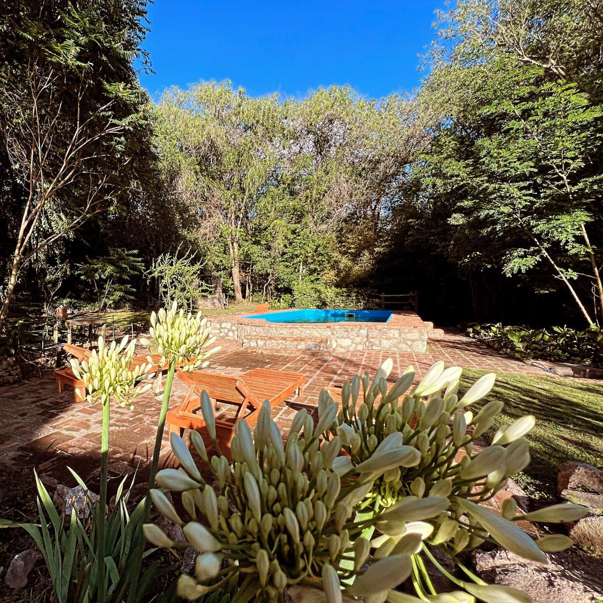 Las Camellias - Housity