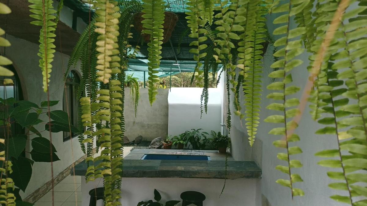 Alinas House - Housity
