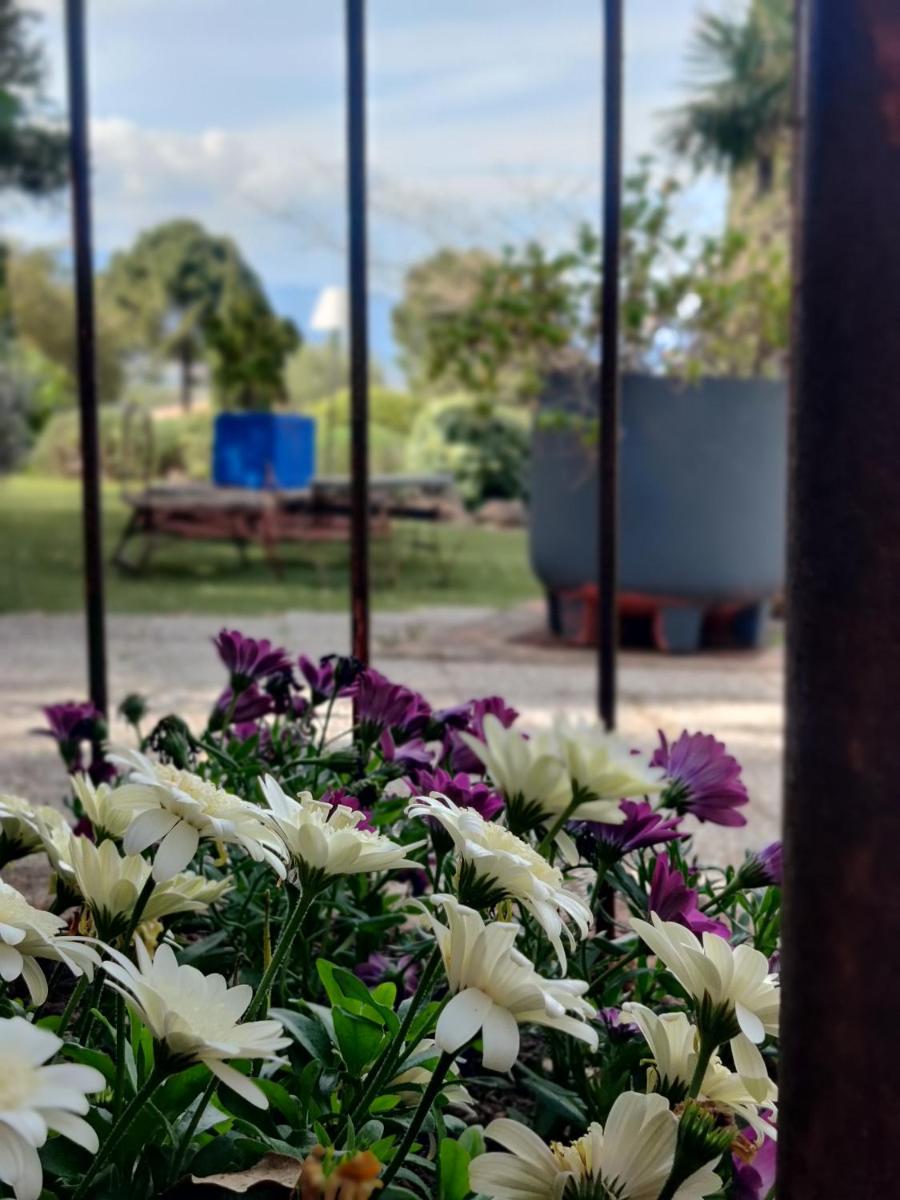 Jardin de l'établissement Le Roc E Fiori Hotel - Teritoria