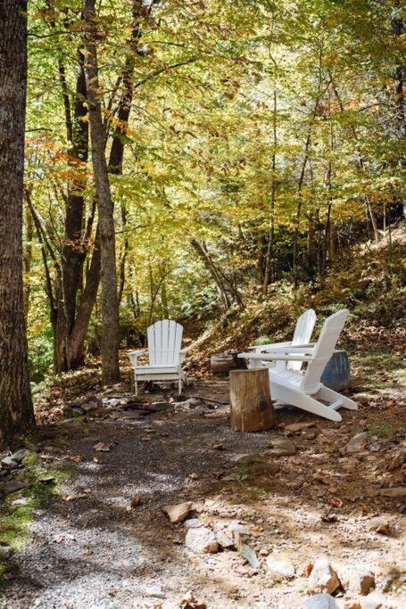 Serene & Cozy - Peaceful View - Fireplace - Creek - Housity