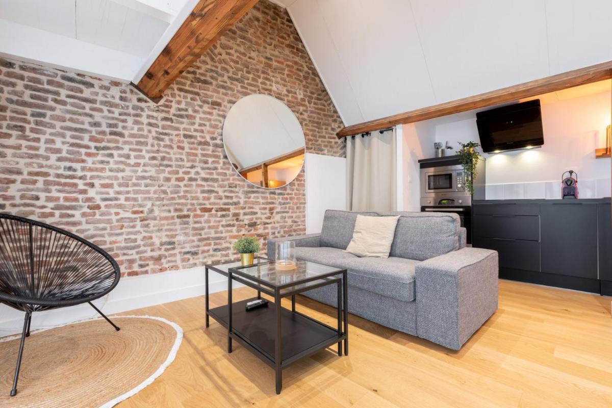 Old Lille - Lovely typical apartment! - Hizvo