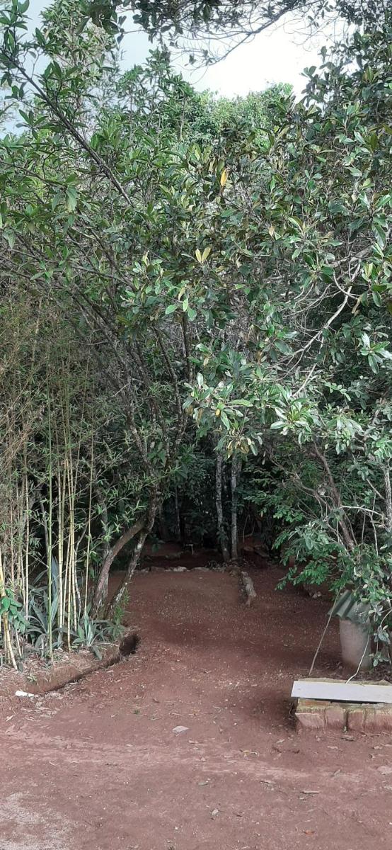 Camping Terra do Nunca - Housity