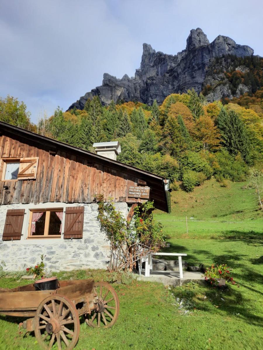 Chalet la corne du chamois - Housity
