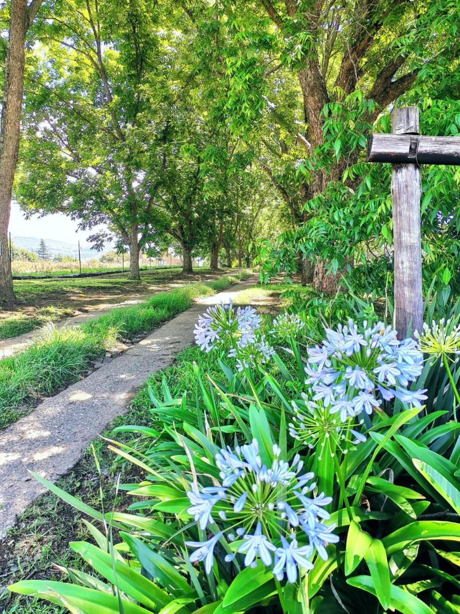 Hill Billys Selfcatering - Housity