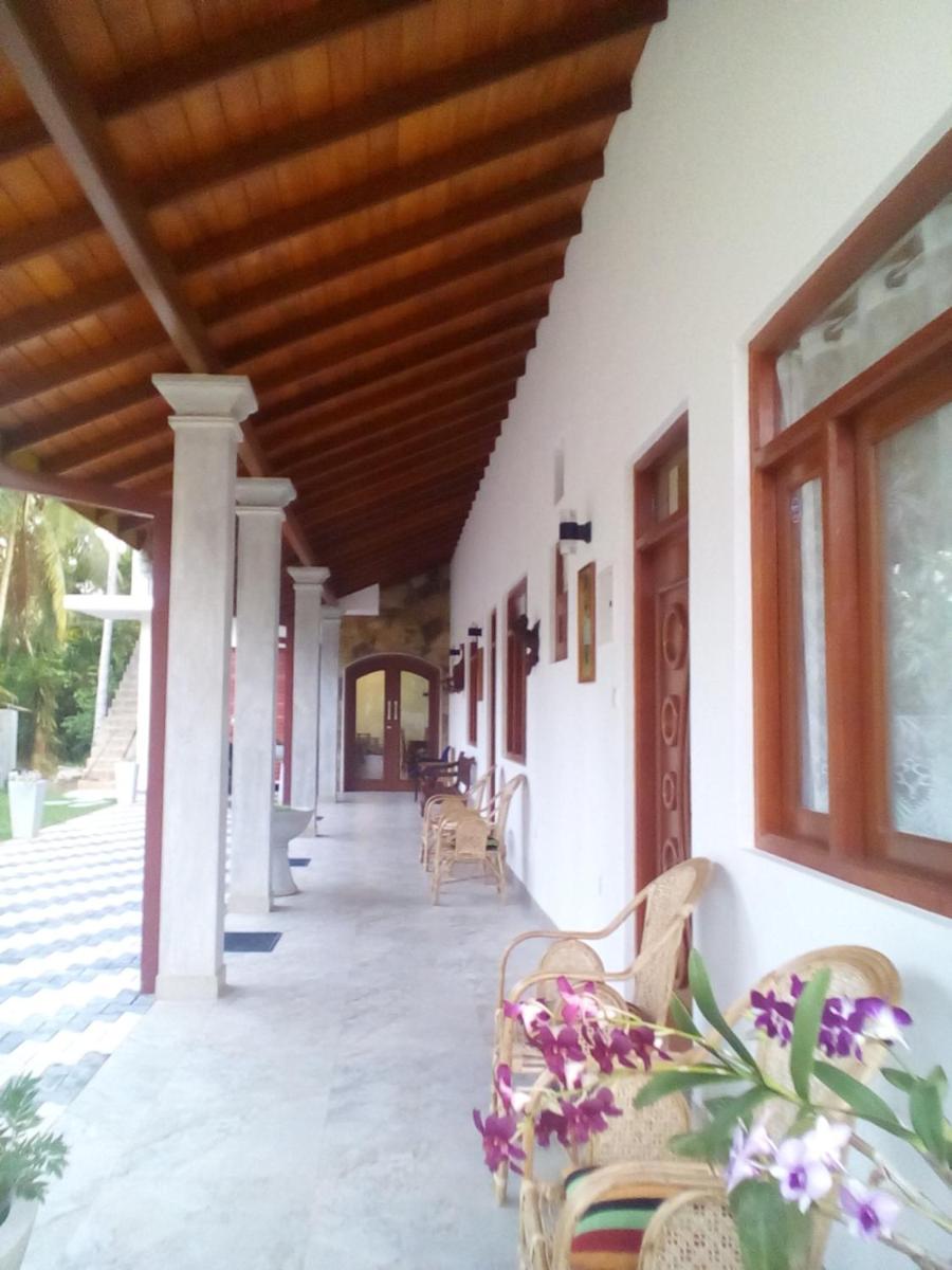 Orchid Dream - Housity