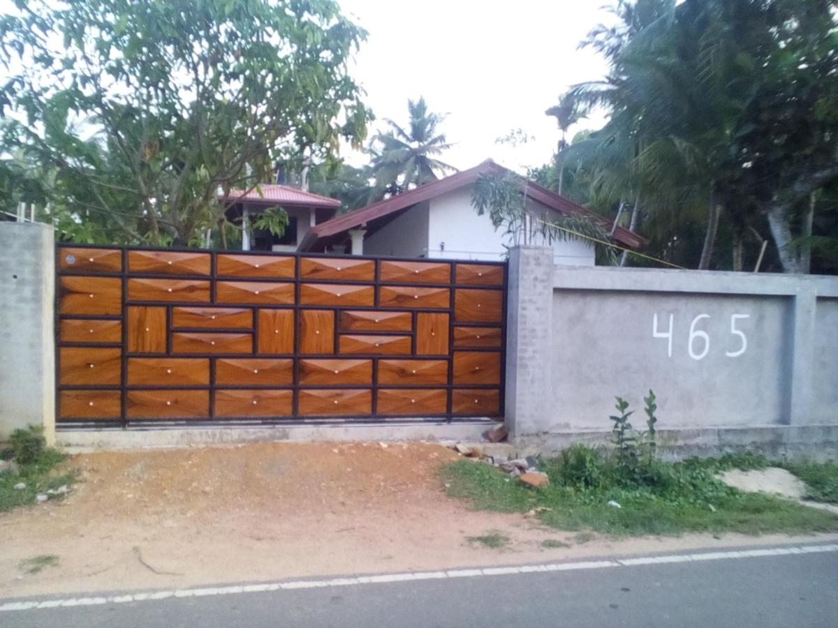 Orchid Dream - Housity
