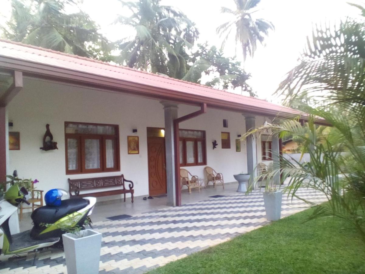 Orchid Dream - Housity