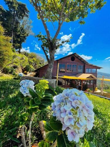 Casa 1800 Los Naranjos Boutique Hotel - Housity