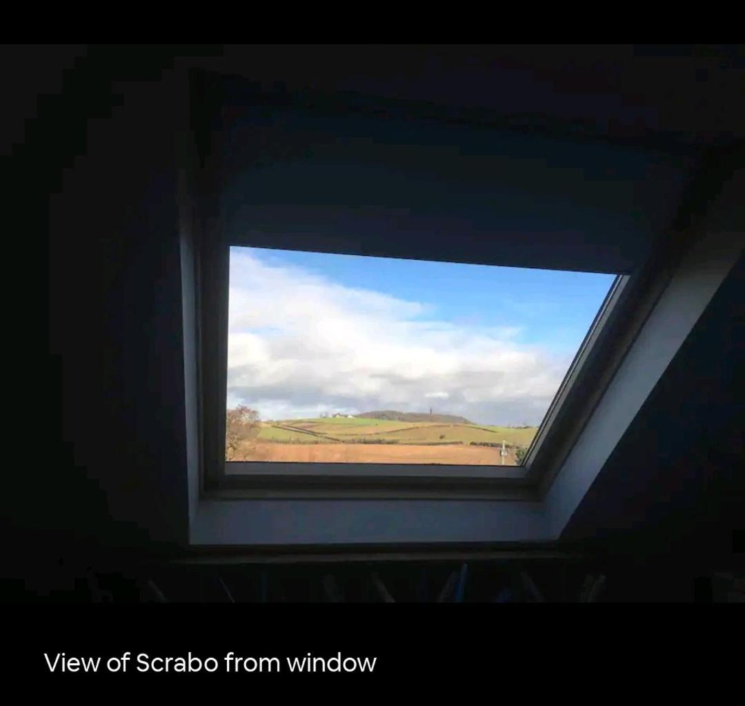 Scrabo View - King Bedroom with private bathroom - Housity