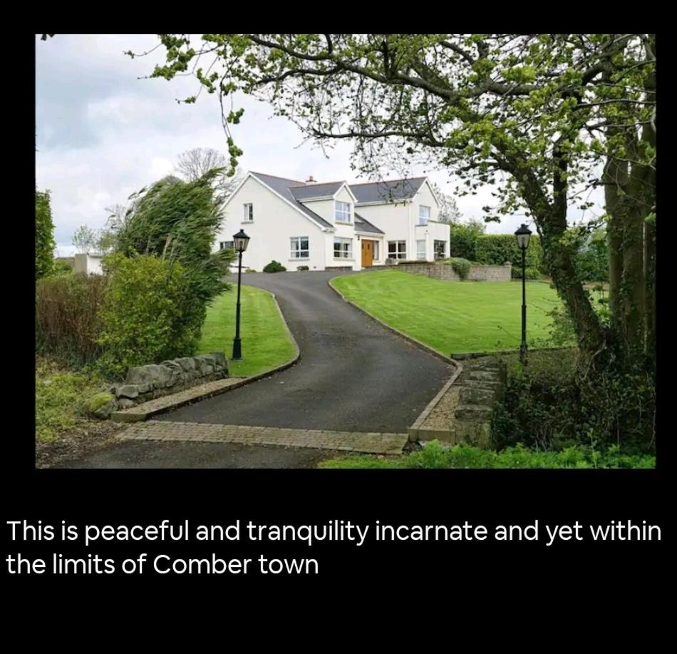Scrabo View - King Bedroom with private bathroom - Housity