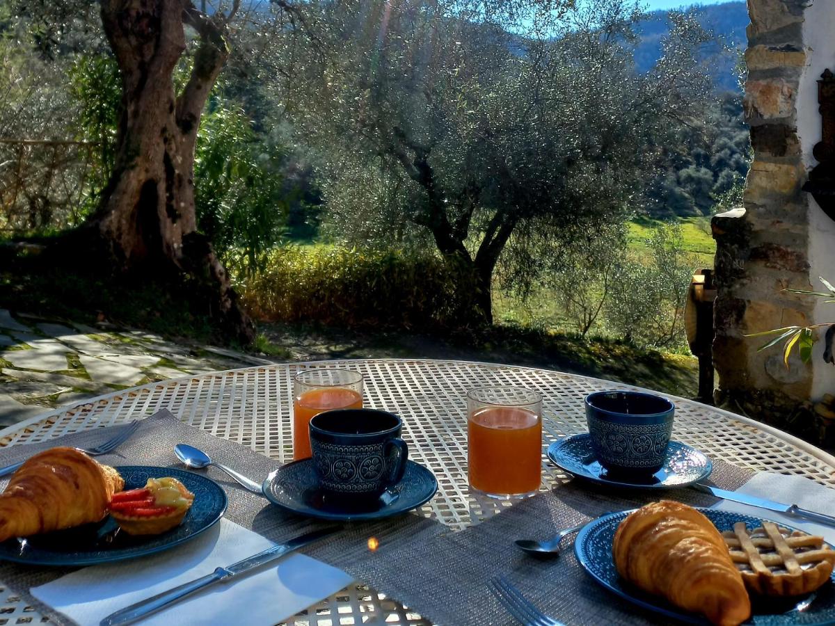 B&B La Risorgiva - Housity