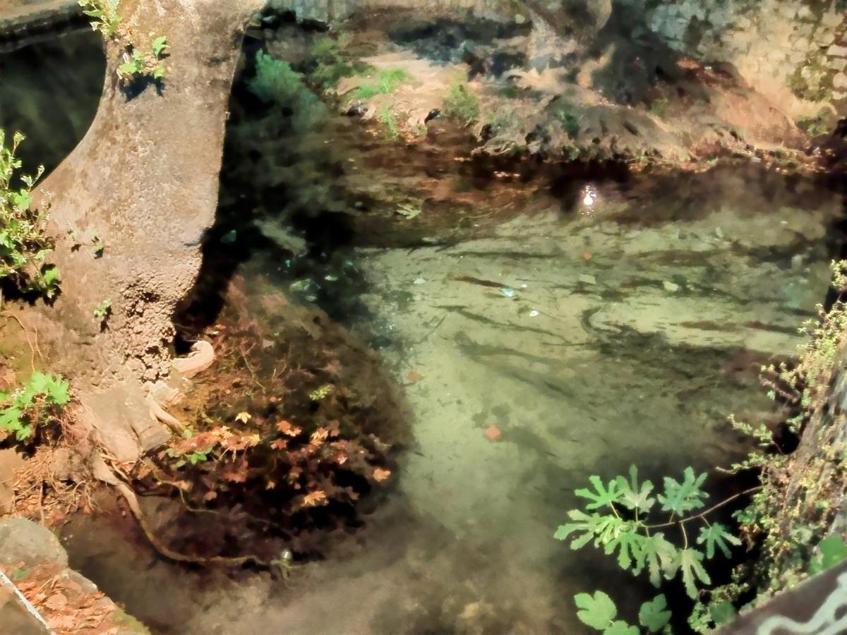 CENTRAL VIEW ΜΙΔΕΙΑ - Housity