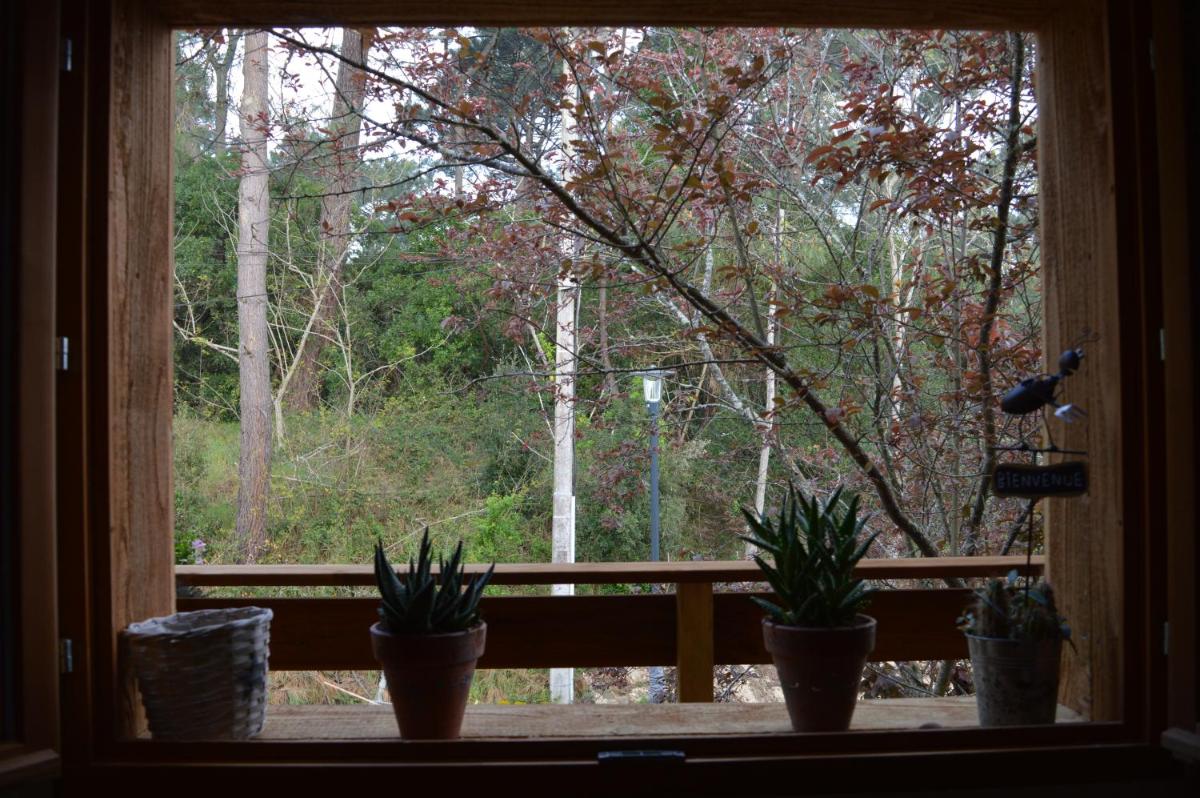 La cabane du Truquet - Housity
