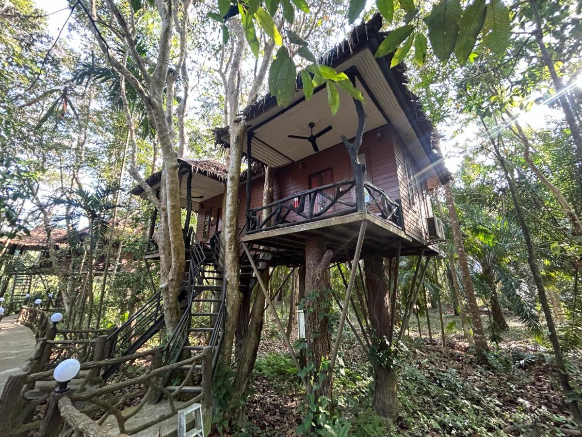 Khao Sok Paradise Resort - Housity
