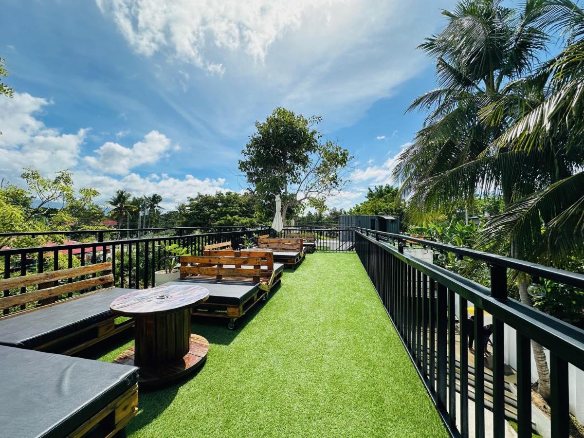 Pig Dive Hostel Moalboal - Housity