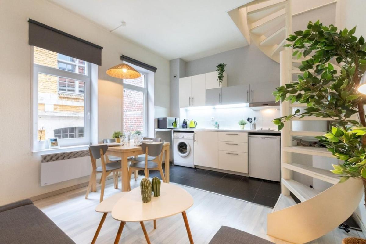 Vieux Lille bright duplex ! 3pers - Housity