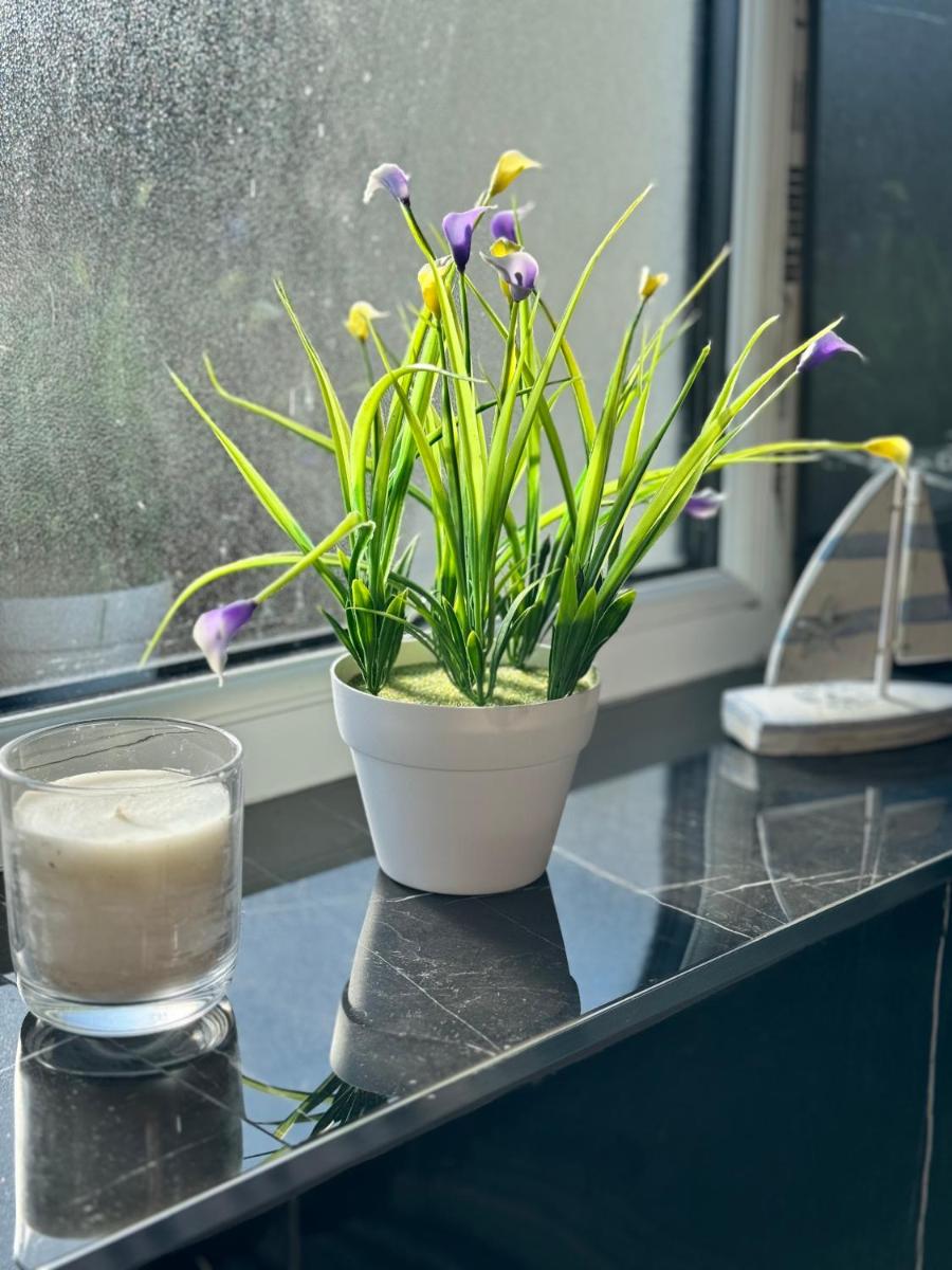 Oxford Studio Flat - Housity