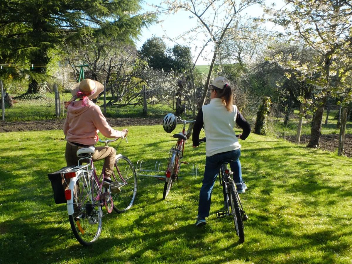 Gîte 7 pers avec jardin, vélos, proche Zoo de Beauval et Château de Valençay - FR-1-591-60 - Housity