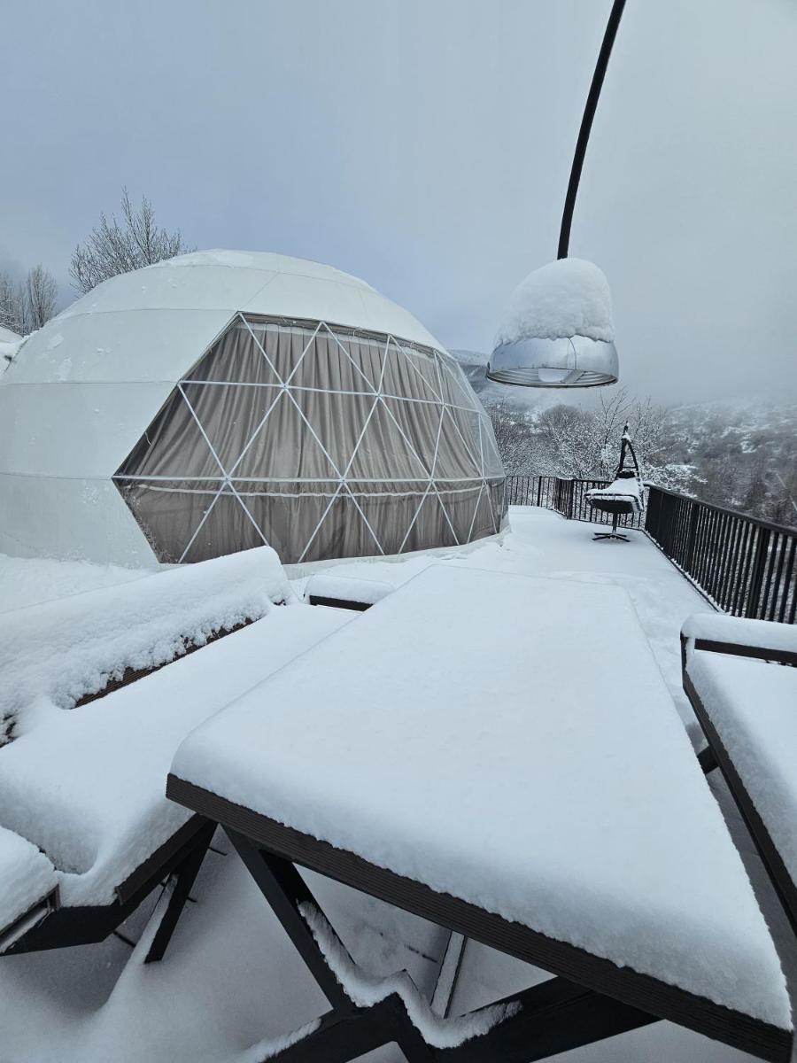 Dream Domes Luxury Glamping Tents - Housity