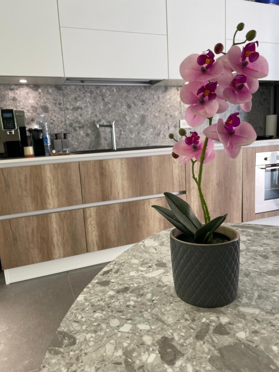 Tropicana Suite - Adults Only - Housity