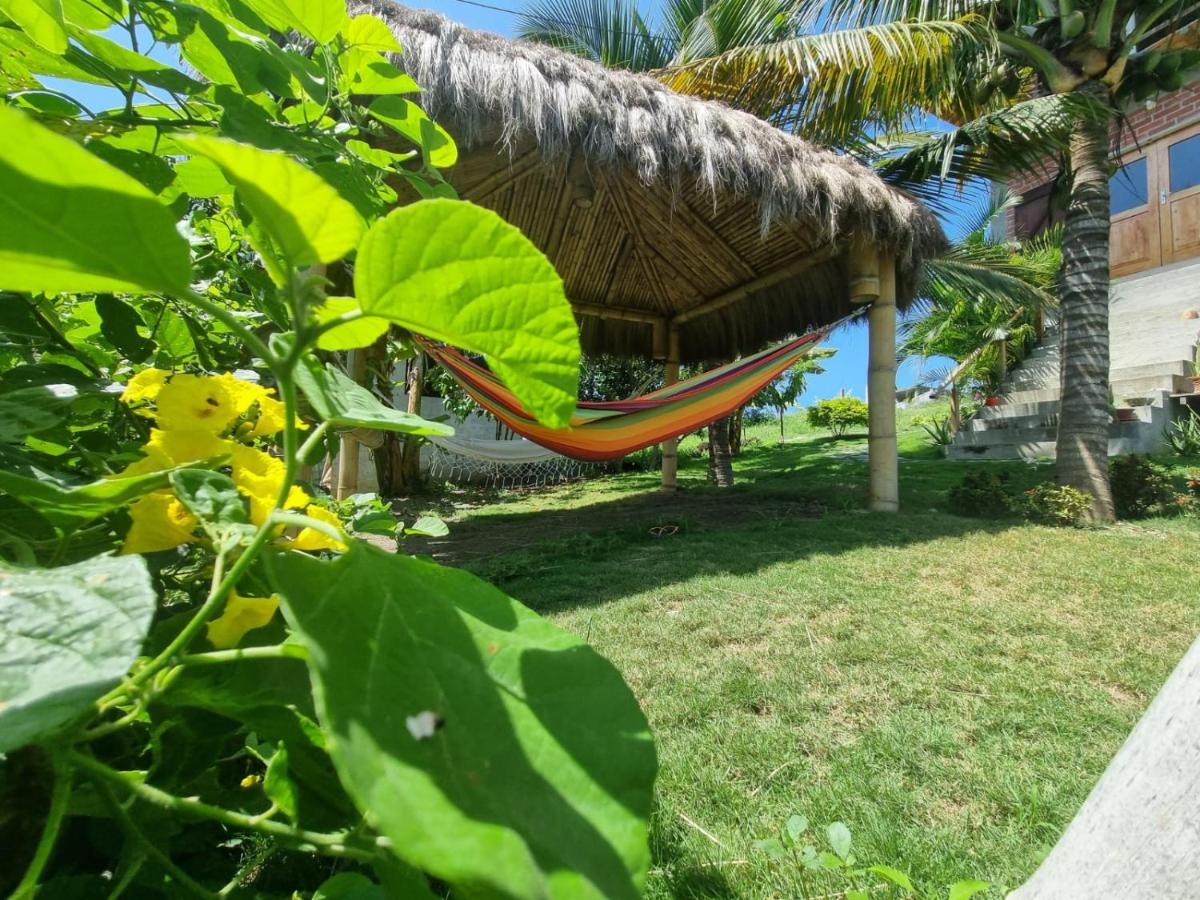 Casa de Orion - Housity