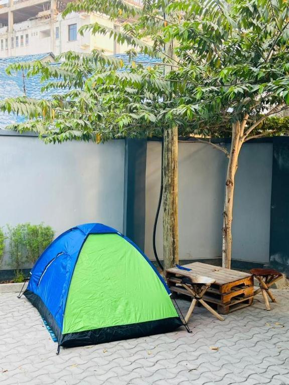 Pearl Luxury Lovely Tent - Housity