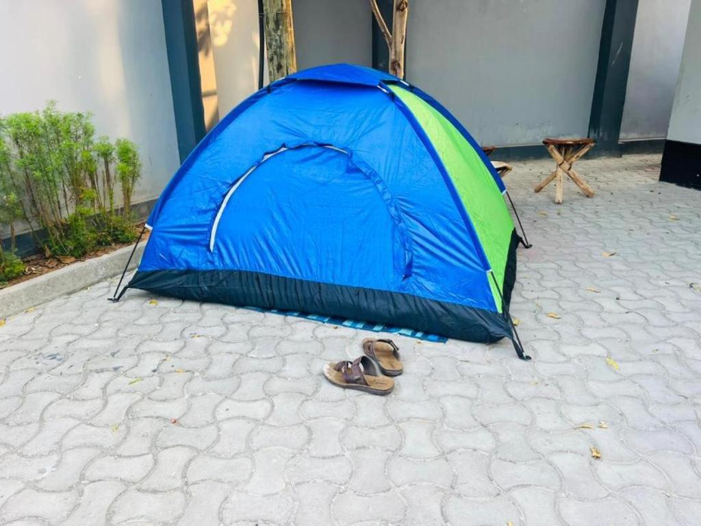 Pearl Luxury Lovely Tent - Housity