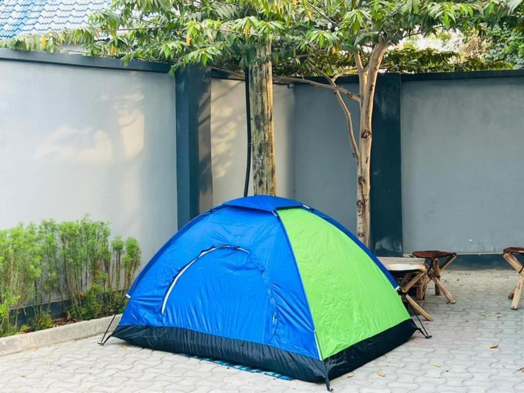 Pearl Luxury Lovely Tent - Housity