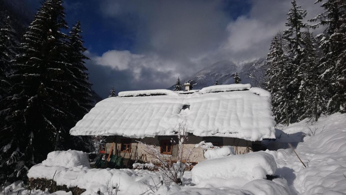 Wild flower cottage in Trenta - Housity