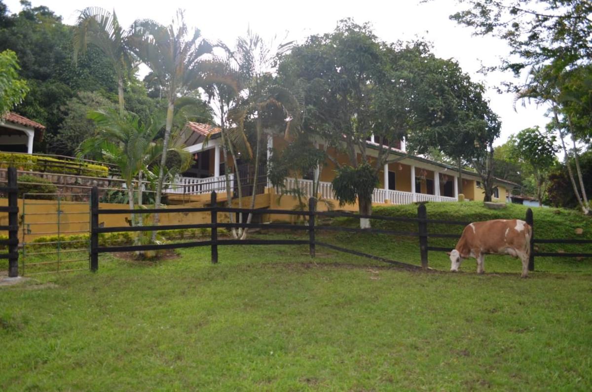 Finca Los Caneyes - Housity