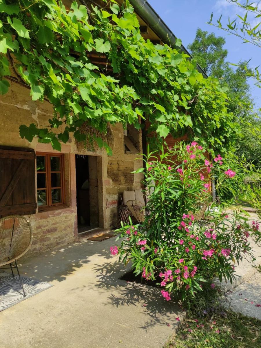 La MIDAD - Housity