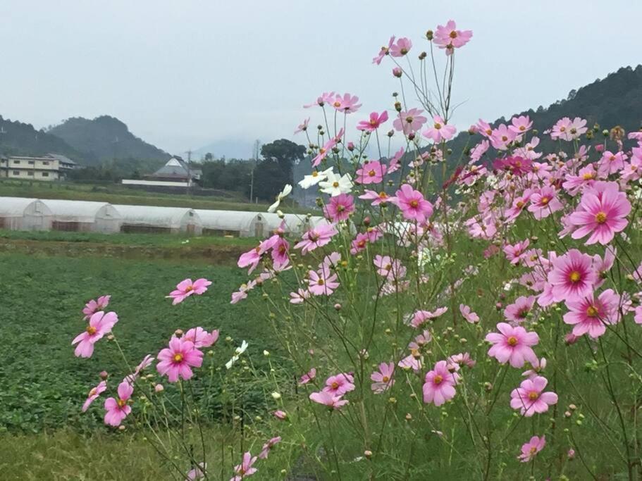 古民家 羅美 Japanese Old Style house La vie - Housity