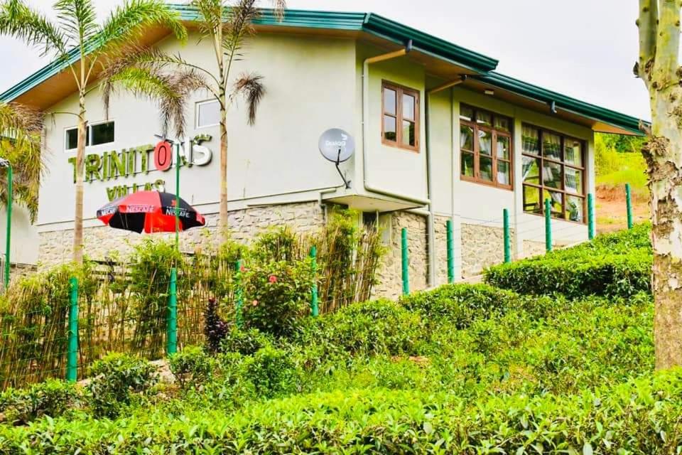 Triniton Holiday Villas - Housity
